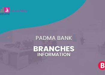 Padma Bank Branches