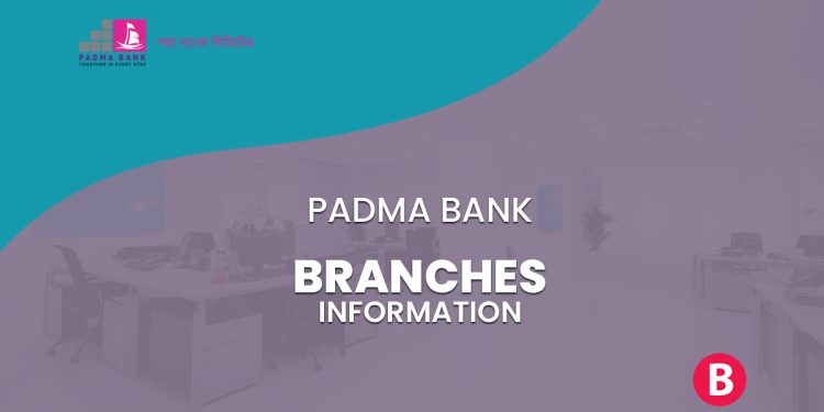 Padma Bank Branches