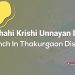 Rajshahi Krishi Unnayan Bank Branch In Thakurgaon District