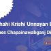 Rajshahi Krishi Unnayan Bank Branches Chapainawabganj Districts