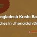 Bangladesh Krishi Bank Branches In Jhenaidah District